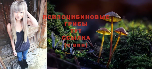 MDMA Premium VHQ Белокуриха