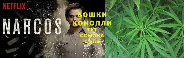 2c-b Беломорск
