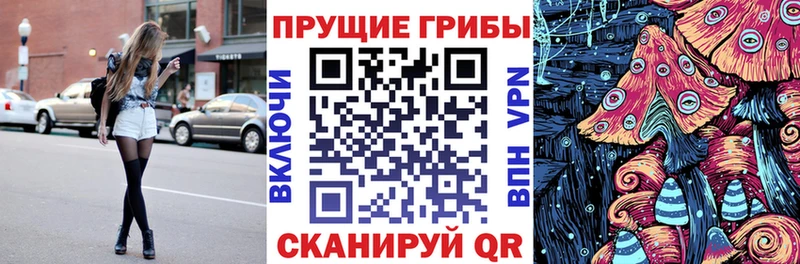 Псилоцибиновые грибы Magic Shrooms  mega онион  Княгинино 